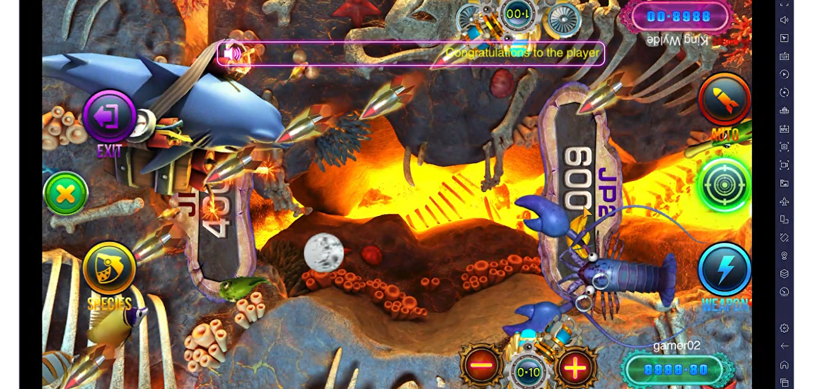 Game Play Image