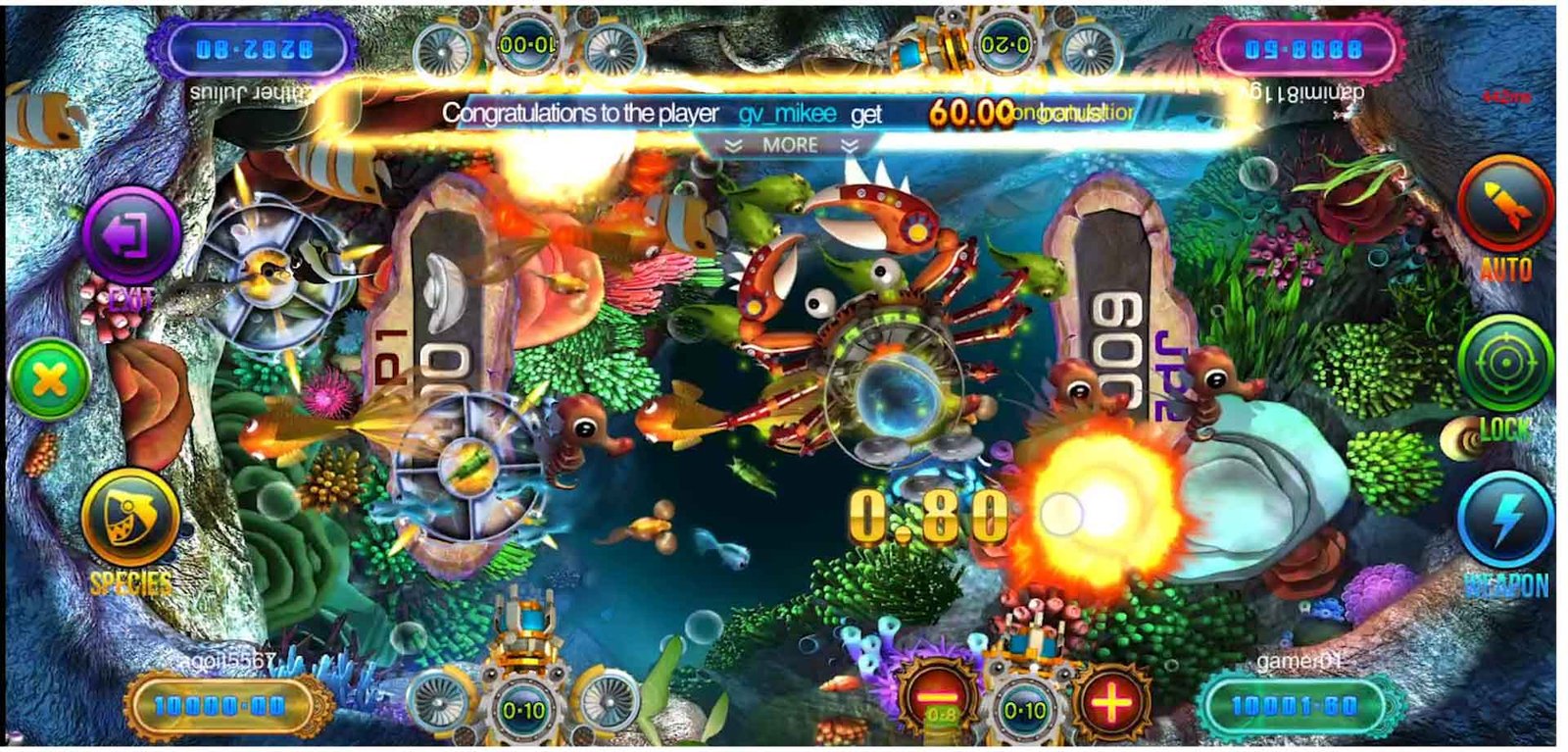 Game Play Image