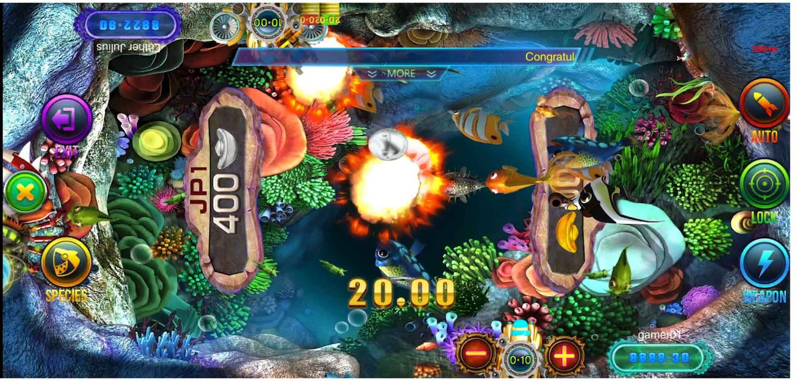 Game Play Image